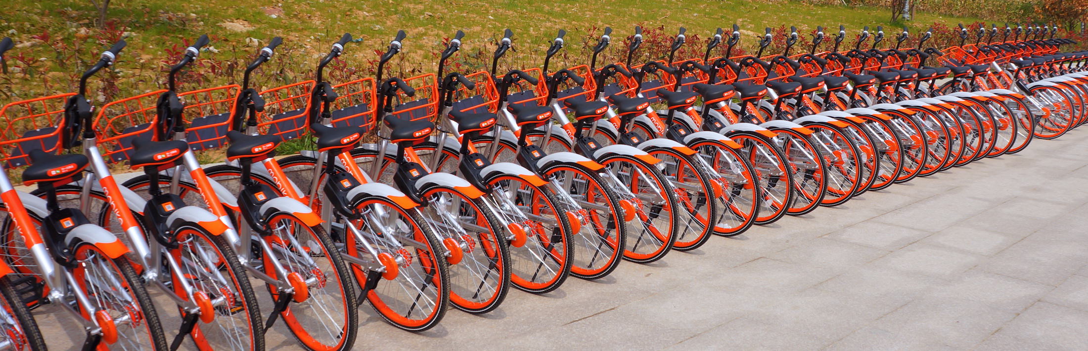 Mobikes in Xuzhuang