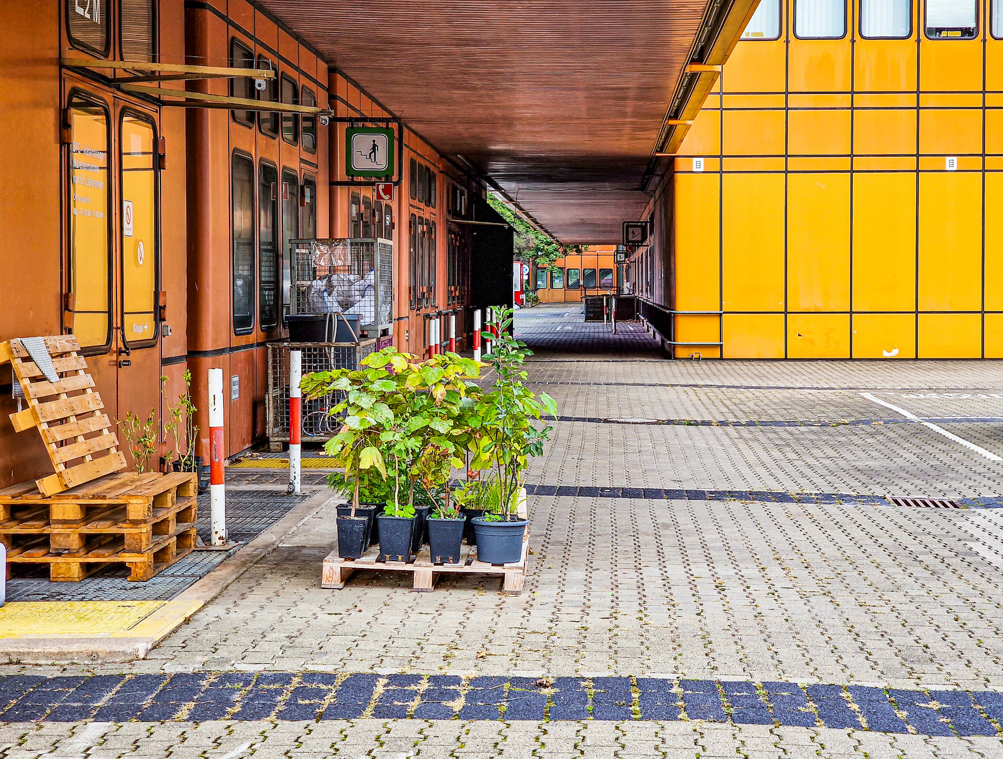 Europalette Grünpflanzen vor dem orangenen Gebäude